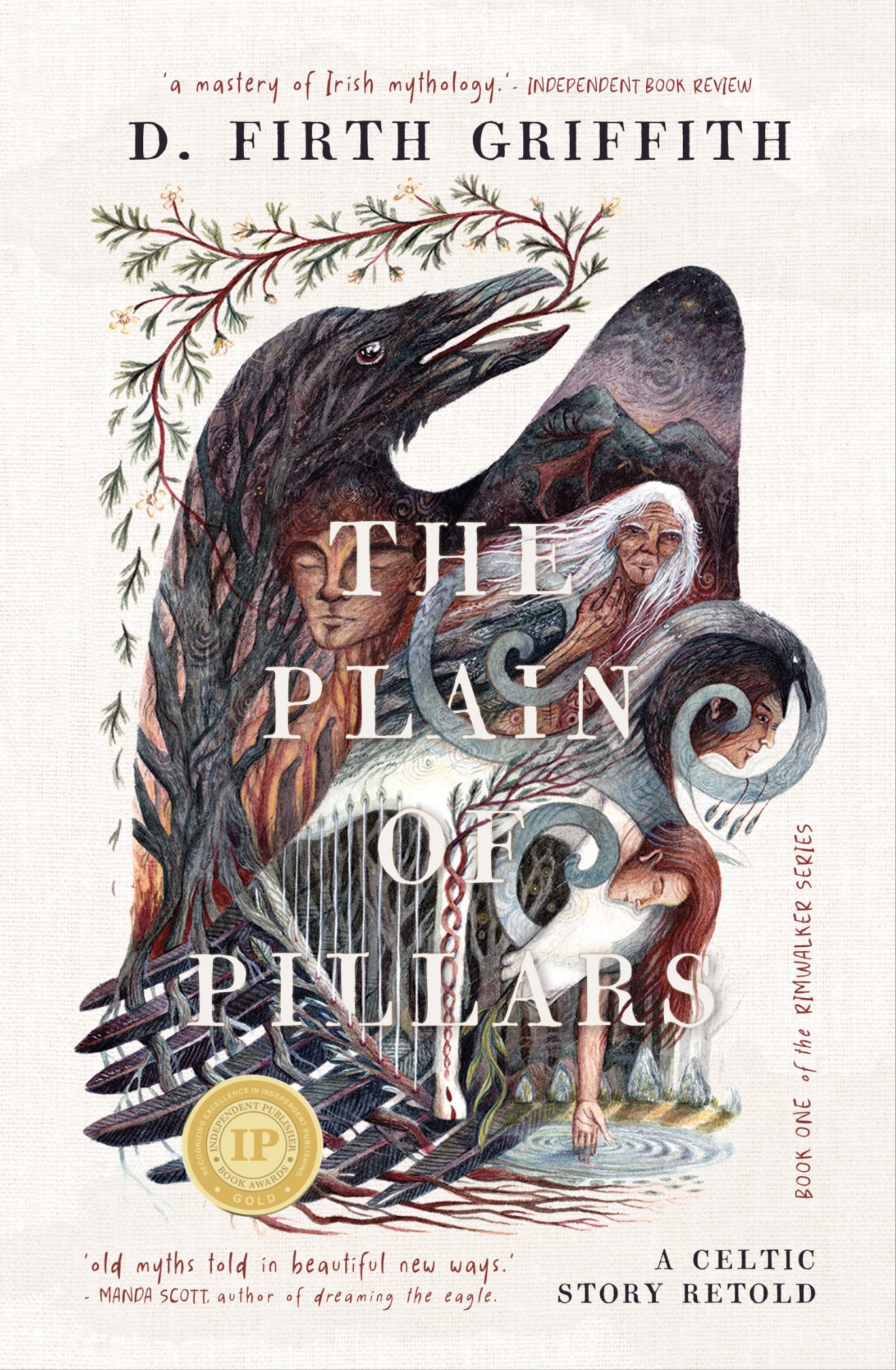 The Plain of Pillars: A Celtic Story Retold (Rimwalker 1)